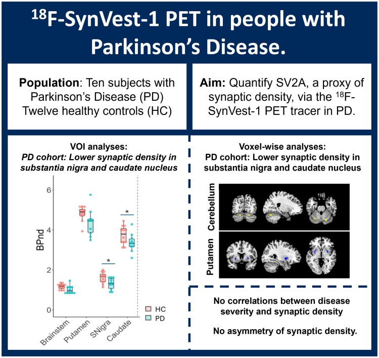 [<sup>18</sup>F]SynVest-1 PET imaging in people with Parkinson's disease.