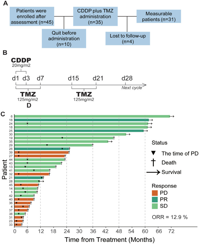 Cisplatin and Alternating Temozolomide in Recurrent High-Grade Gliomas: Efficacy and the Role of Tumor-Infiltrating Lymphocytes in a Phase II Clinical Trial.