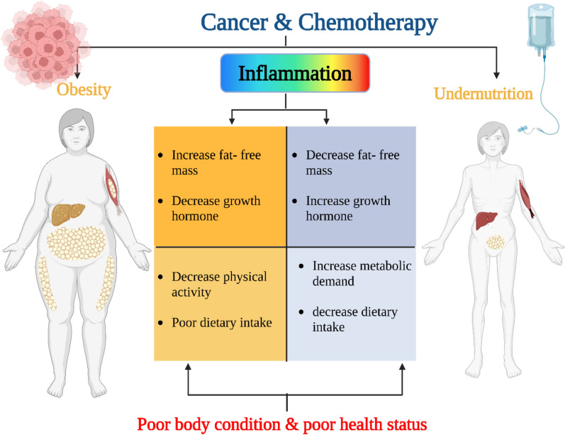 Medicinal plants: nutritional, immunological and therapeutic role in treating cancer-related malnutrition: a comprehensive review.