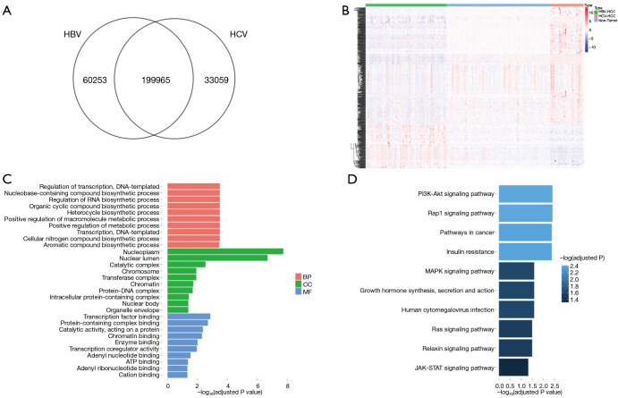 A comparison of hepatitis B virus- and hepatitis C virus-related hepatocellular carcinoma: a bioinformatics analysis.