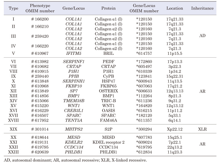 Osteogenesis imperfecta: pathogenesis, classification, and treatment.