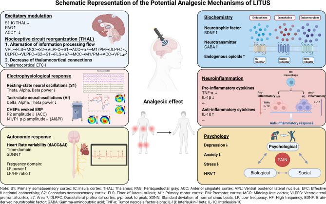The efficacy and mechanisms of low-intensity transcranial ultrasound stimulation on pain: a systematic review of human and animal studies.