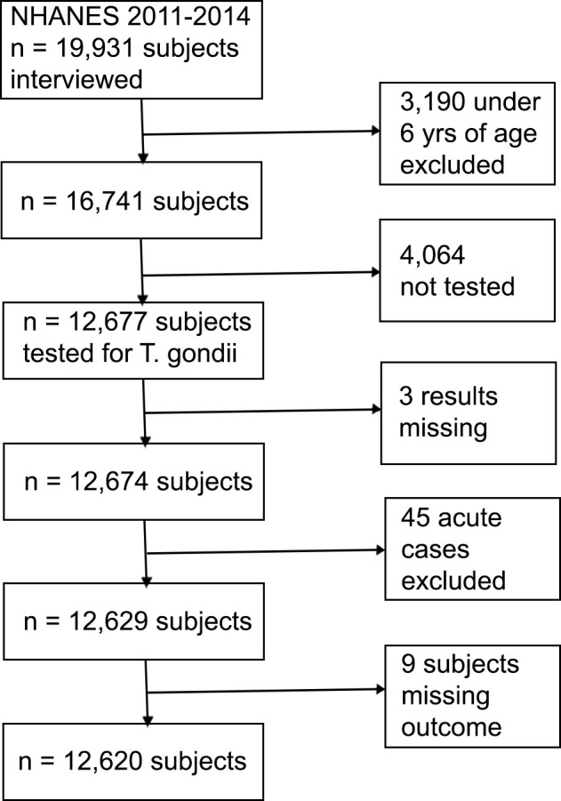 The association between Toxoplasma gondii infection and asthma in the United States: A cross-sectional survey analysis.