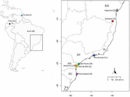 Population structure of Anopheles (Kerteszia) bellator in the Brazilian Atlantic Forest.