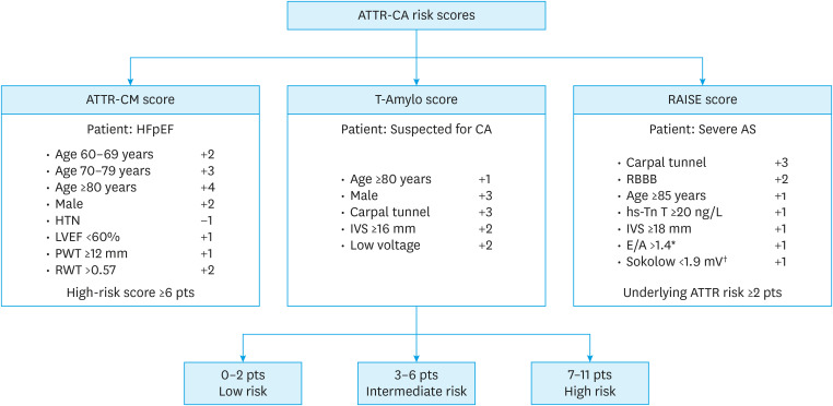 Bridging the Diagnostic Gap: Toward Non-Invasive Detection of Transthyretin Cardiac Amyloidosis in Acute Heart Failure.