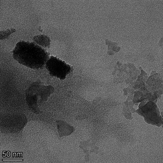 Photocatalytic oxidation of tyrosine using colloidal CdS particles under visible light irradiation.