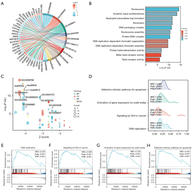 Construction and validation of an EGFR-related risk signature identified <i>SHC1</i> as a prognostic biomarker for lung adenocarcinoma.