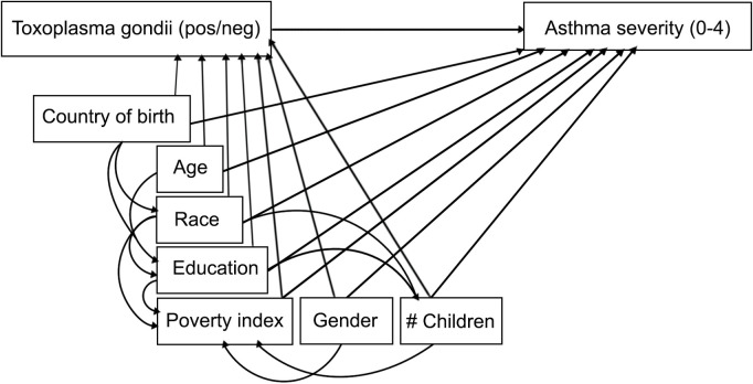 The association between Toxoplasma gondii infection and asthma in the United States: A cross-sectional survey analysis.