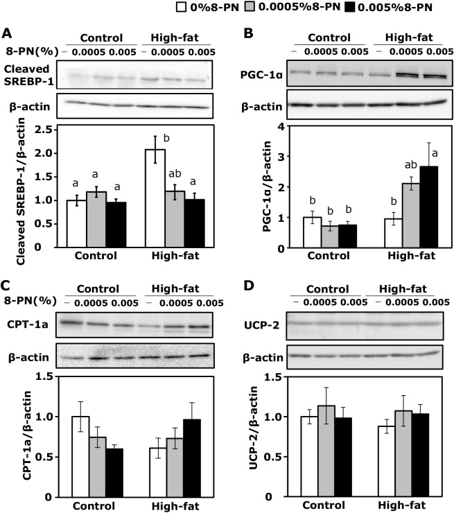 8-Prenylnaringenin suppresses obesity in high-fat diet-fed C57BL/6J mice via adiponectin secretion.