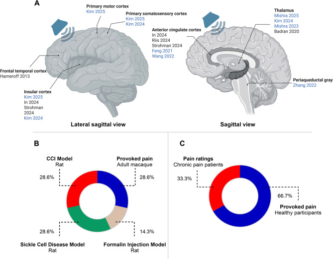 The efficacy and mechanisms of low-intensity transcranial ultrasound stimulation on pain: a systematic review of human and animal studies.