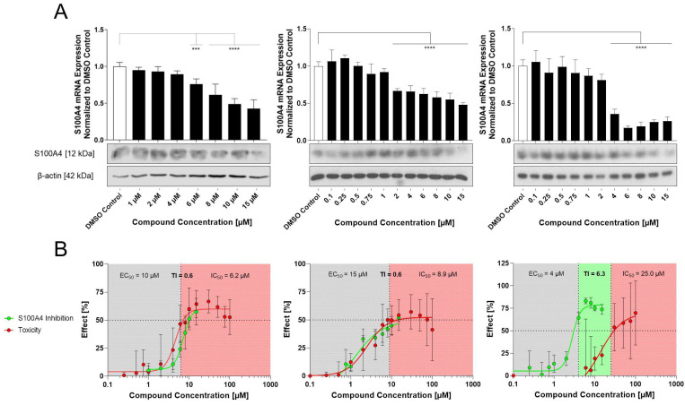 Novel High-Throughput Screen Identified S100A4 Inhibitors for Anti-Metastatic Therapy.