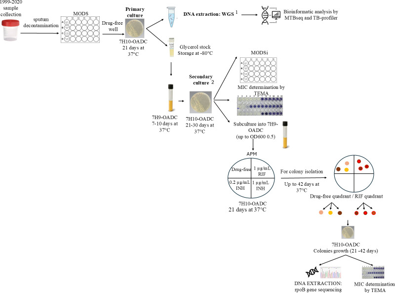 Dissecting rifampicin heteroresistance in <i>Mycobacterium tuberculosis</i>: integrating whole-genome sequencing with phenotypic and clonal validation.