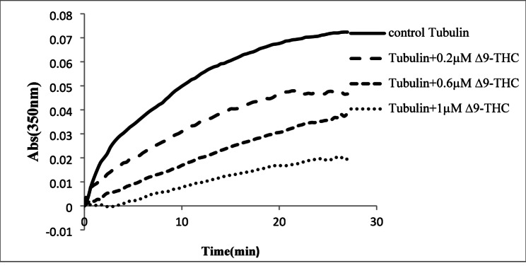 Structural changes of tubulin by interacting with Δ<sup>9</sup>-tetrahydrocannabinol: in-vitro and theoretical studies.