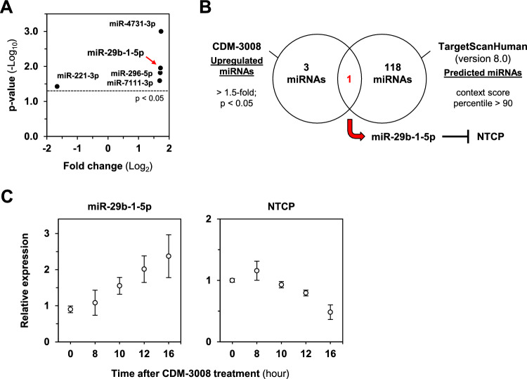 miRNA-29b-1-5p mediates an antiviral activity by targeting the HBV entry receptor in human hepatocytes.