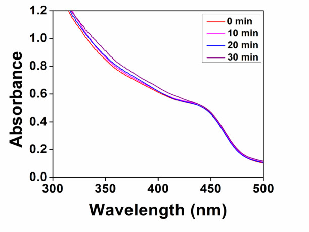 Photocatalytic oxidation of tyrosine using colloidal CdS particles under visible light irradiation.