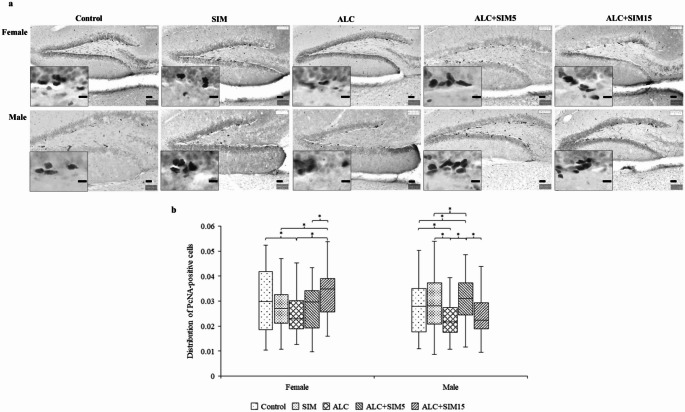 Neuroprotective effects of Simvastatin against alcohol-induced oxidative stress and neurodegeneration in the Hippocampus of adolescent mice.