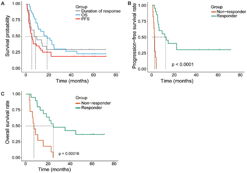 Cisplatin and Alternating Temozolomide in Recurrent High-Grade Gliomas: Efficacy and the Role of Tumor-Infiltrating Lymphocytes in a Phase II Clinical Trial.