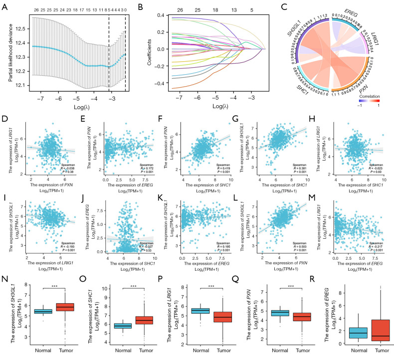 Construction and validation of an EGFR-related risk signature identified <i>SHC1</i> as a prognostic biomarker for lung adenocarcinoma.