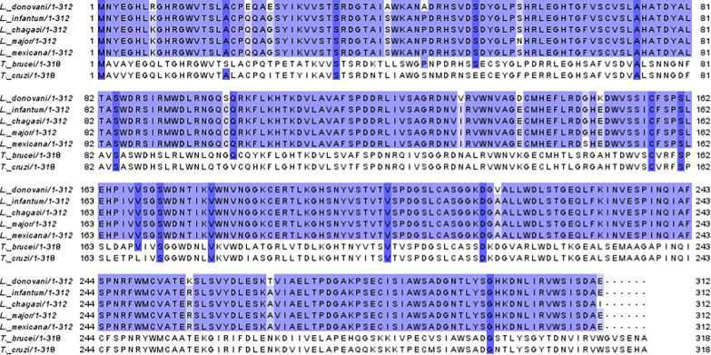 Recombinant Leishmania-activated C kinase as a novel antigenic candidate for immuno-diagnosis of visceral leishmaniasis occurring in India and Brazil.