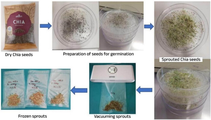 Impact of saline sprouting on antioxidant properties and bioactive compounds in chia seeds.