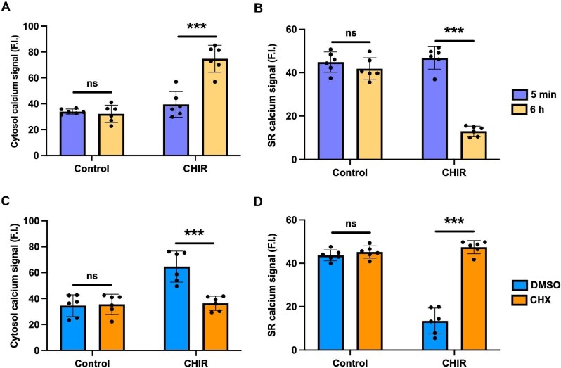 Wnt/β-catenin pathway induces cardiac dysfunction via AKAP6-mediated RyR2 phosphorylation and sarcoplasmic reticulum calcium leakage.