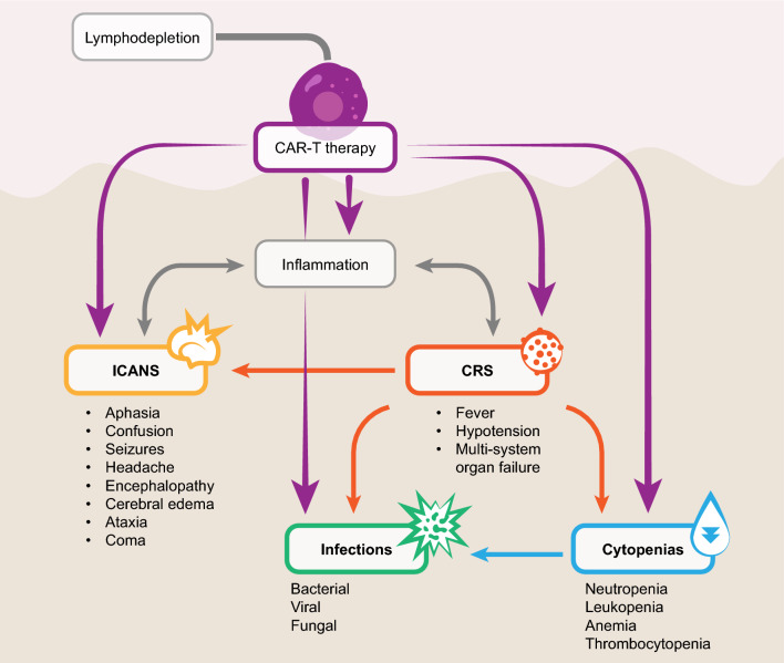 Mitigation and Management of Common Toxicities Associated with the Administration of CAR-T Therapies in Oncology Patients.