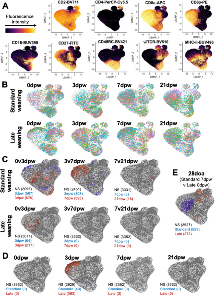 Weaning age impacts intestinal stabilization of jejunal intraepithelial T lymphocytes and mucosal microbiota in pigs.