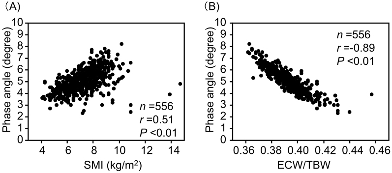 Phase Angle Evaluated by a Bioimpedance Analysis Is Closely Related to Diabetic Nephropathy and Peripheral Neuropathy in Patients with Type 2 Diabetes.