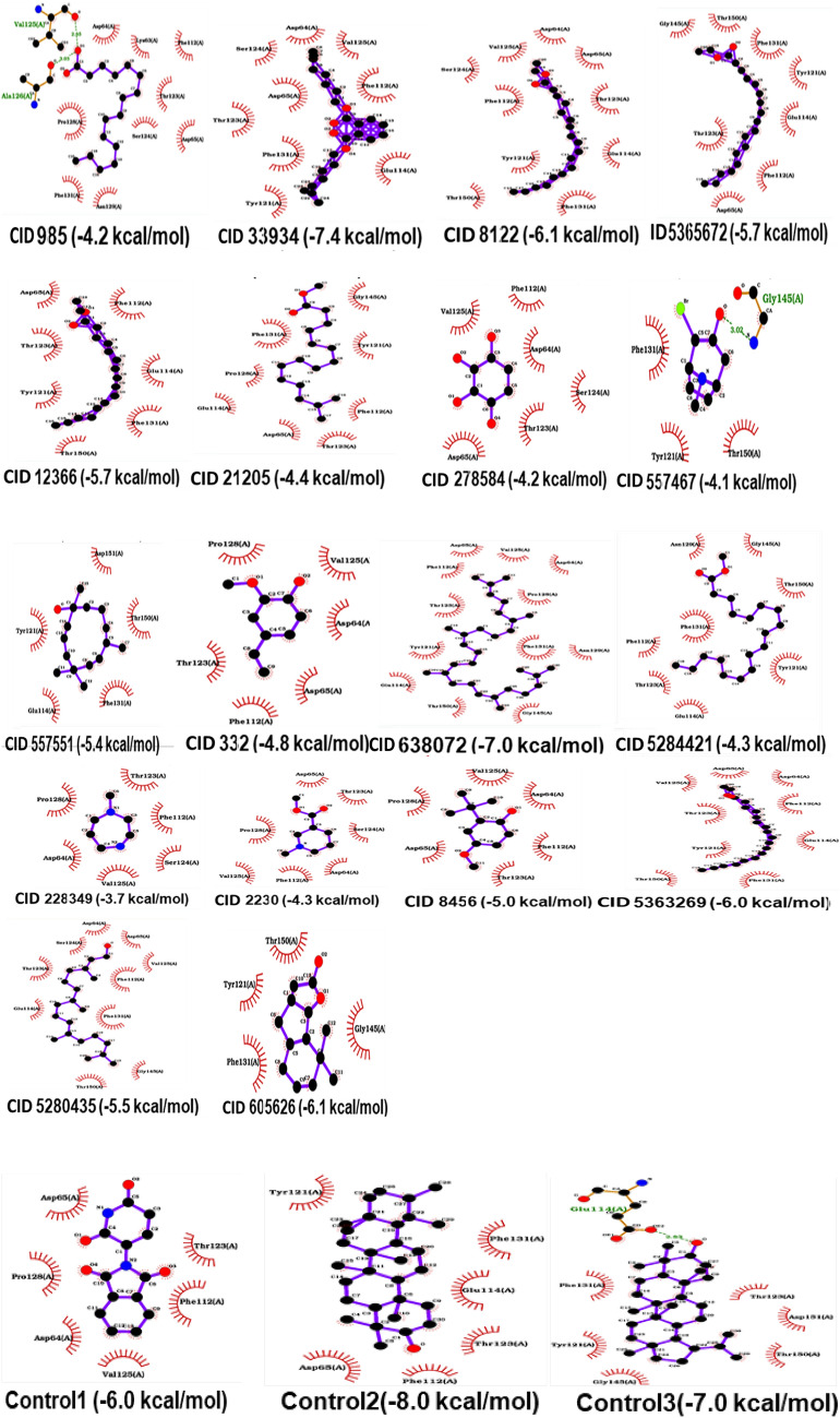In silico identification of phytoconstituents from <i>Capparis sepiaria</i> as interleukin-1 inhibitors for rheumatoid arthritis: molecular docking, ADMET profiling, and molecular dynamics simulation.