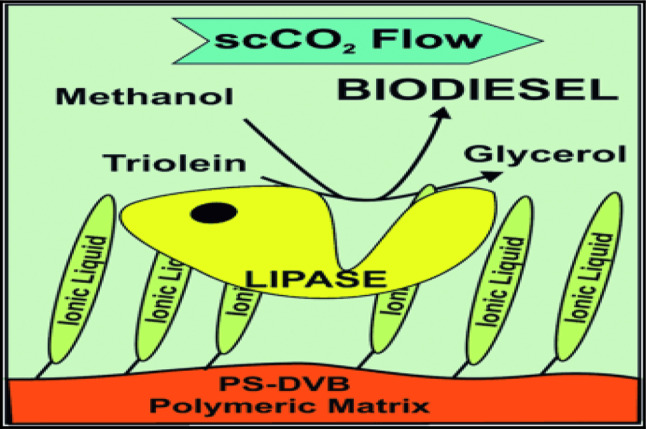 Review of research progress in immobilization and chemical modification of microbial enzymes and their application.