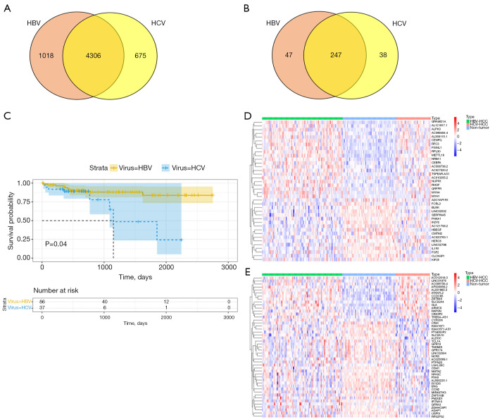 A comparison of hepatitis B virus- and hepatitis C virus-related hepatocellular carcinoma: a bioinformatics analysis.