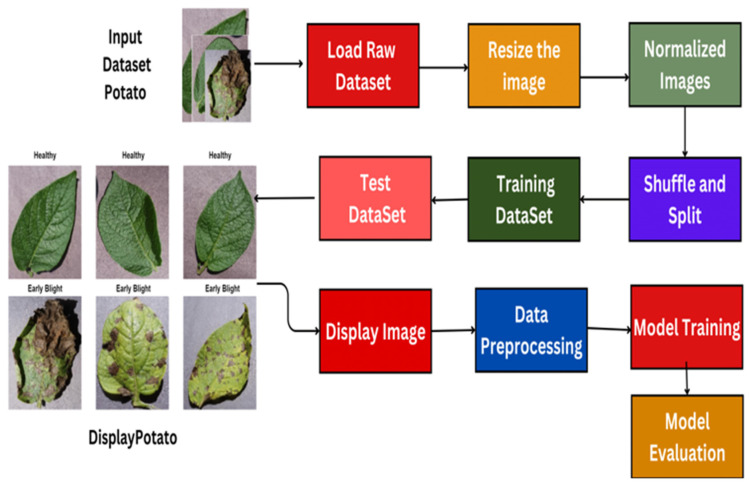 Advancing Early Blight Detection in Potato Leaves Through ZeroShot Learning.