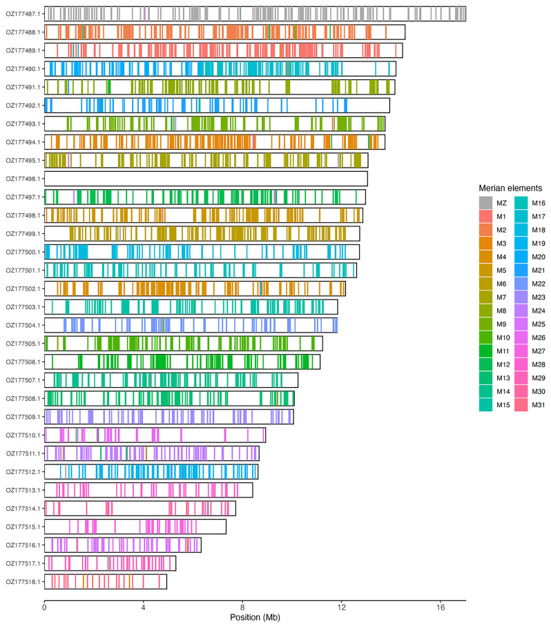 The genome sequence of the Map, <i>Araschnia levana</i> (Linnaeus, 1758) (Lepidoptera: Nymphalidae).