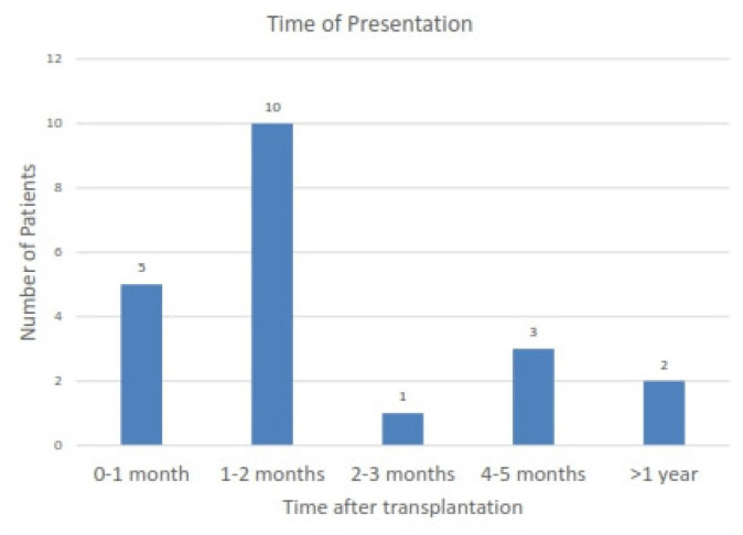 Parvovirus B19 Infection as a Cause of Refractory Anemia in Kidney Transplant Recipients: A Case Series.