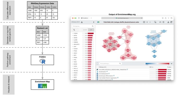 Gene-set enrichment analysis and visualization on the web using EnrichmentMap:RNASeq.