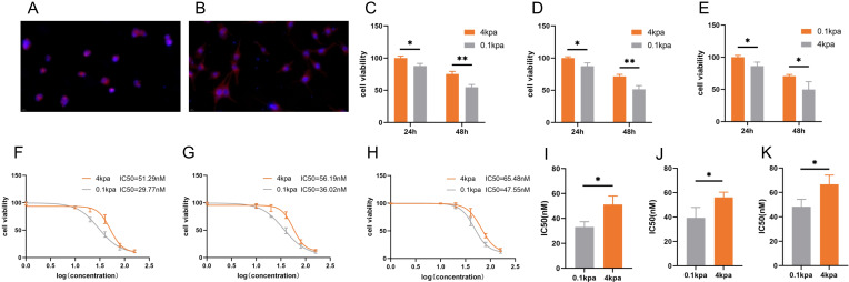 Extracellular Matrix Stiffness Enhancement Promotes Docetaxel Resistance in Prostate Cancer via Inhibition of Apoptosis Mediated by Upregulation of PRRX1.