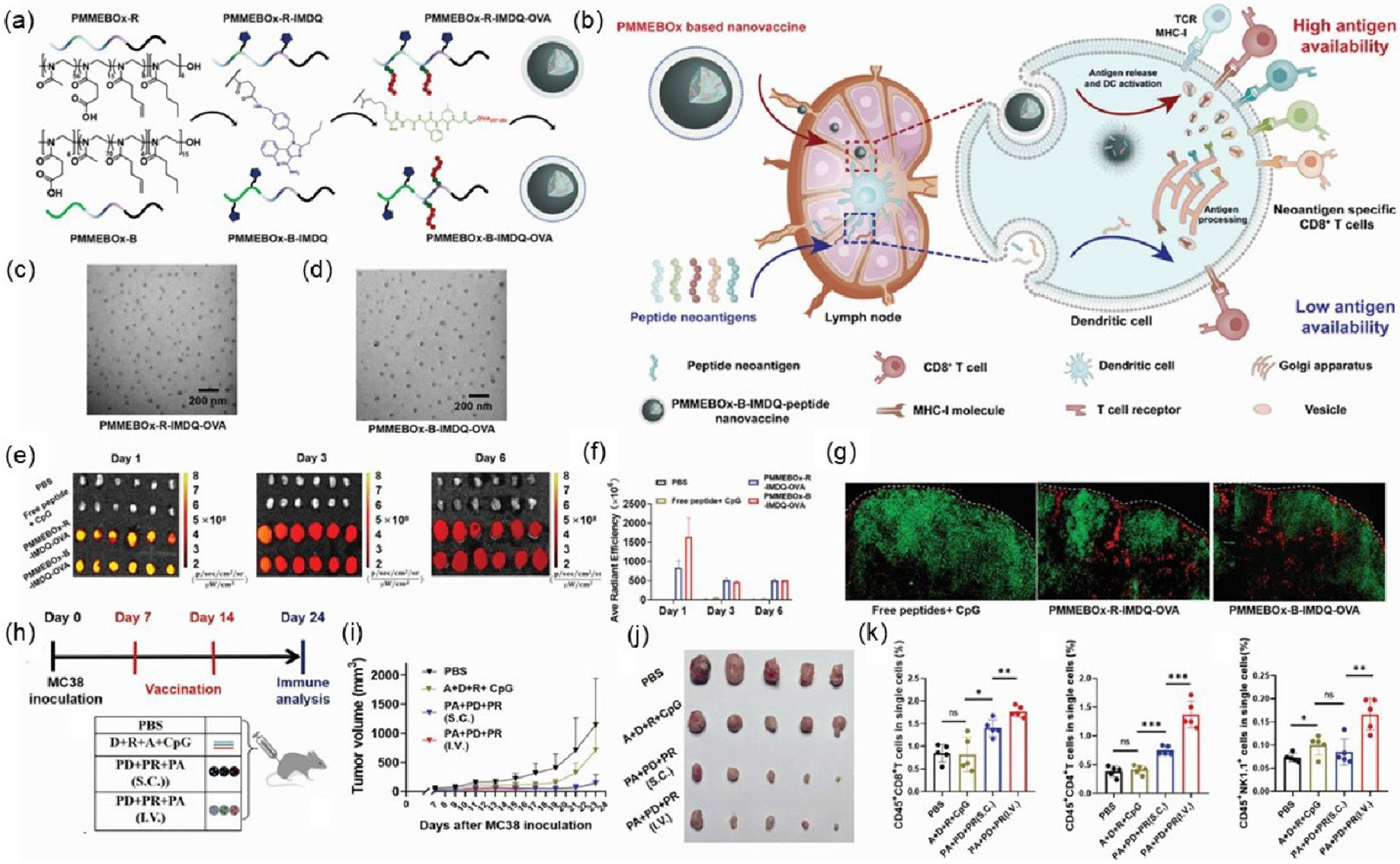 Advances in nanotechnology-enabled adjuvants for peptide-based cancer vaccines.