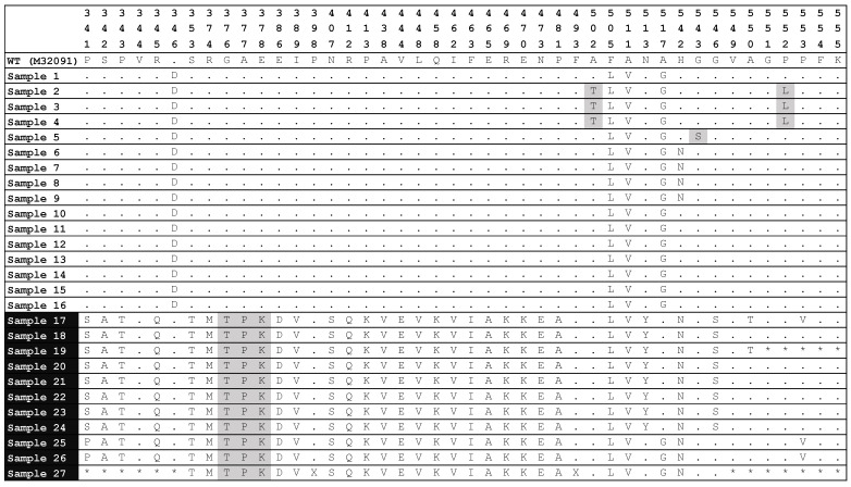 Molecular Detection of Mutations in the <i>penA</i> and 23S rRNA Genes of <i>Neisseria gonorrhoeae</i> Related to Decreased Cephalosporin and Azithromycin Susceptibility in Rectal Specimens from Men Who Have Sex with Men (MSM) in Lima, Peru.