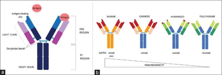Pathogenesis and Current Treatment Strategies in Rheumatoid Arthritis: A Systematic Review Article.