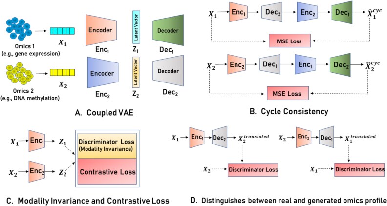 UnCOT-AD: Unpaired Cross-Omics Translation Enables Multi-Omics Integration for Alzheimer's Disease Prediction.