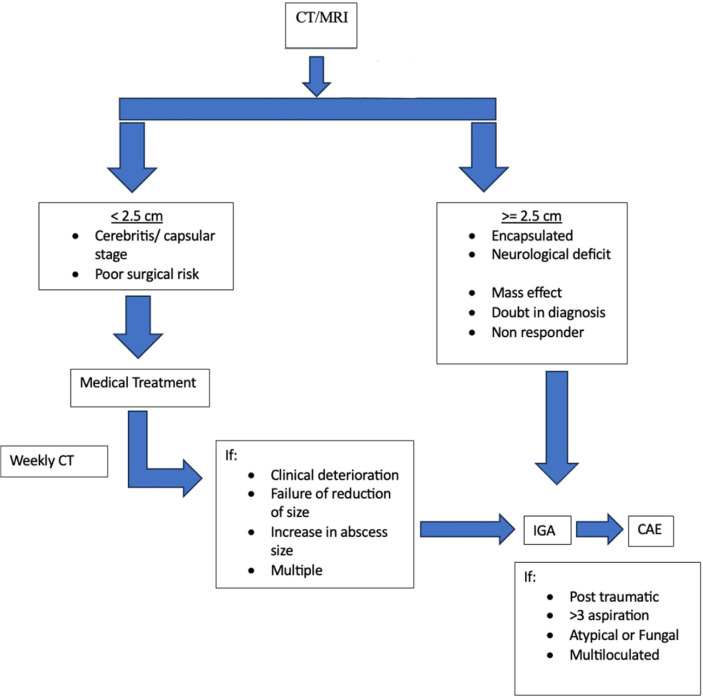 Long-term insights into brain abscess management: An 8-year study from a single center in India.