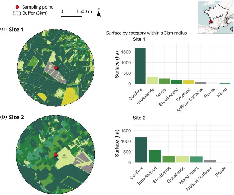 Comparing the spring diet of buff-tailed bumble bees and honey bees (Hymenoptera: Apidae) in a forest landscape: a metabarcoding approach.