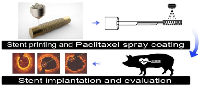 A novel paclitaxel eluting bioresorbable vascular stent with a super flexible stent structure and round cross section struts fabricated using 3D printing technology with a rotating platform.