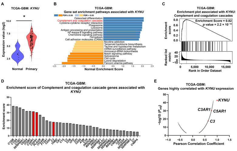 Targeting the Kynureninase-HDAC6-Complement Axis as a Novel Therapeutic Strategy in Glioblastoma.
