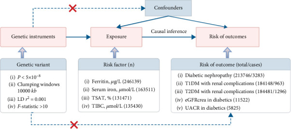 Causal Associations of Iron Status With the Renal Function and Diabetic Nephropathy in Patients With Diabetes Mellitus: A Two-Sample Mendelian Randomization Study.