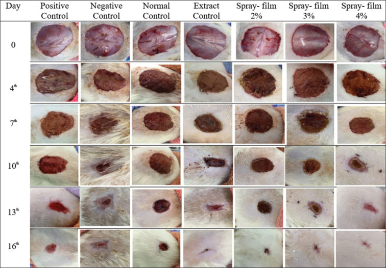 Spray film-forming system formulation of <i>Mitragyna speciosa</i> as a diabetic wound healer.