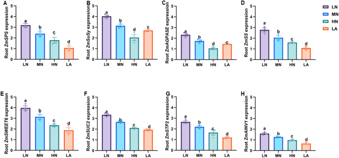 Nitrogen deficiency identifies carbon metabolism pathways and root adaptation in maize.