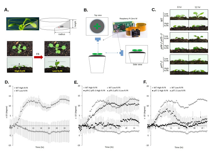 Time course measurements of leaf elevation angles during shade avoidance response in <i>Arabidopsis thaliana</i> using <i>Raspberry Pi</i> computers and computer vision technique.