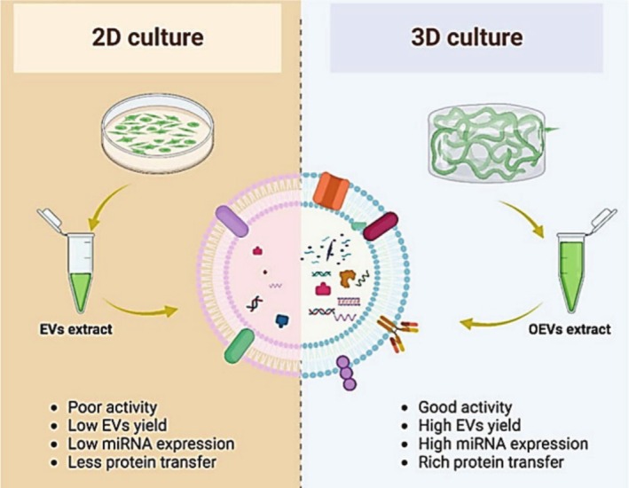Engineered Extracellular Vesicles in Arthritic Diseases: Therapeutic Applications & Challenges.