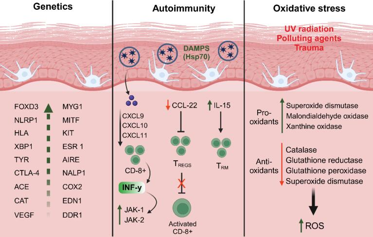 Lipid-based nanoparticles: advancing therapeutic strategies for vitiligo management.